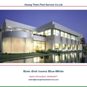 Bơm định lượng Blue-White: bảng model, thông số và ứng dụng